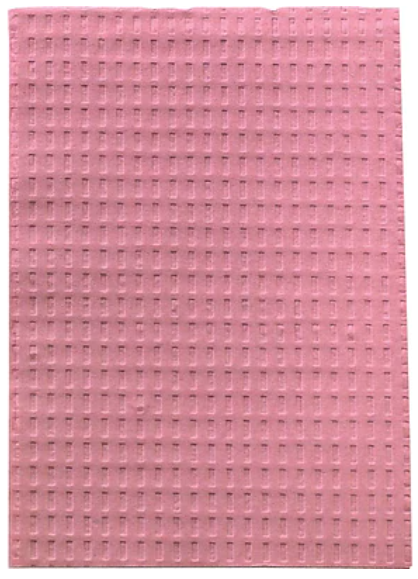 Tidi 917466 Dental Patient Bibs 2+1 Ply Paper Poly 13 Tidi 917466 Dental Patient Bibs 2+1 Ply Paper Poly 13